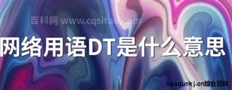 网络用语DT是什么意思 怎么理解网络用语DT的意思