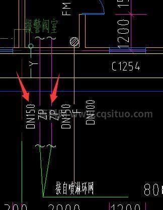 zp是什么意思 zp的意思说明