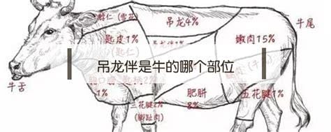 吊龙是牛的哪个部位 吊龙是牛身上哪一部分的肉