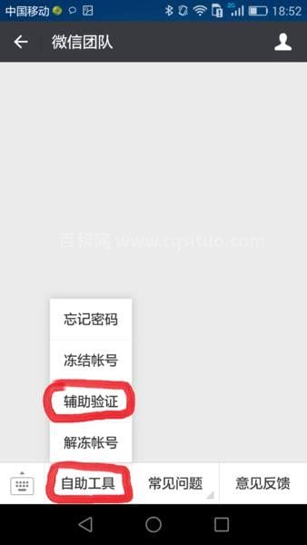 微信辅助是什么意思 你懂了吗