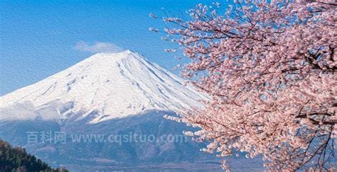 富士山是私人的吗，富士山的主人是谁