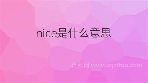 nice是什么中文意思翻译，nice的含义是什么