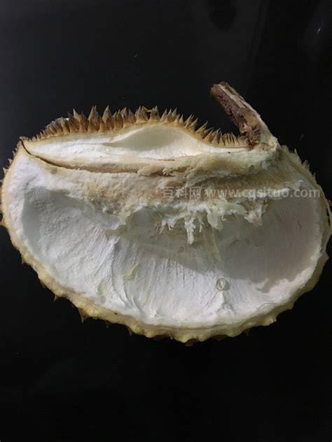 榴莲壳中的白瓢能吃吗？榴莲壳中的白瓢有什么妙用？