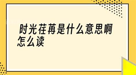 时光荏苒怎么读 时光荏苒岁月如梭是什么意思