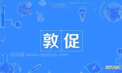 敦促和督促的区别是什么