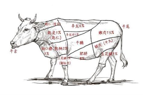 吊龙是牛的哪个部位的肉，吊龙一斤多少钱？