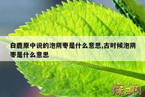 白鹿原泡枣是什么意思，田小娥给郭举人泡枣怎么回事