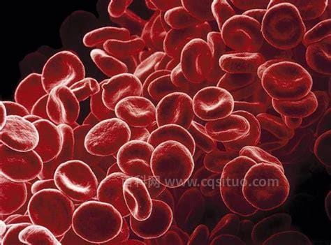 血细胞是什么