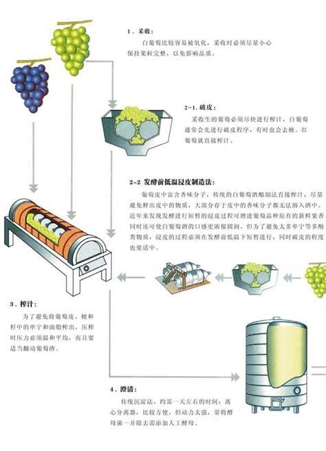 干红葡萄酒的制作方法