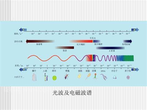 微波和光波有什么区别？