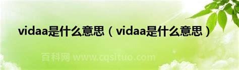 vidaa是什么意思