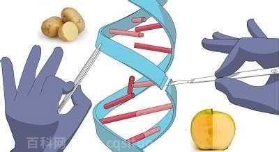 什么是转基因技术