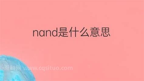 nznd是什么意思