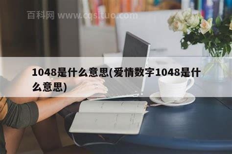 1048什么意思