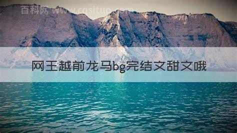 网王越前龙马bg完结文甜文哦