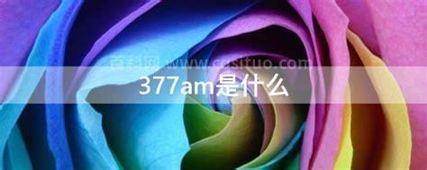 377am是什么