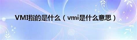 vmi是什么意思