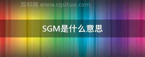 SGM是什么意思