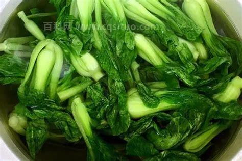 小趴菜什么意思