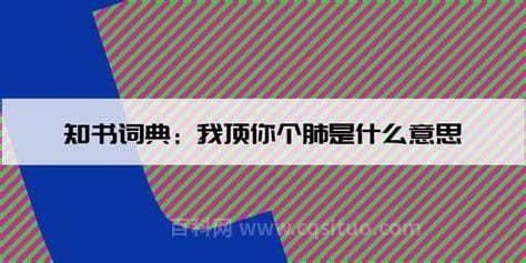 我顶你个肺是什么意思