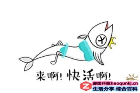 板娘什么意思