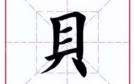 贝字旁的字有什么