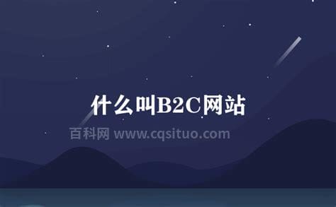 什么叫b2c