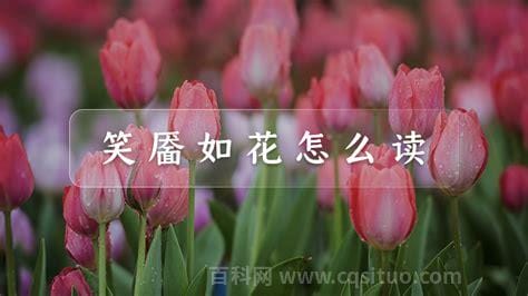 笑靥如花怎么读