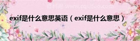 exif是什么