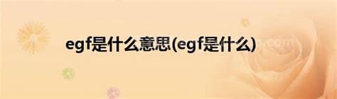 egf是什么