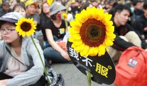 台湾太阳花运动是什么