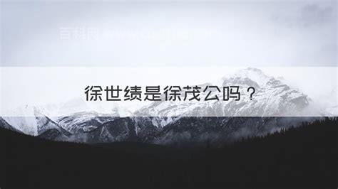 徐世绩是徐茂公吗