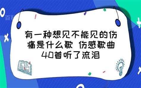 有一种想见不能见的伤痛是什么歌