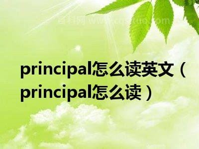 principal怎么读