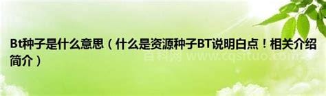 bt种子是什么意思是什么