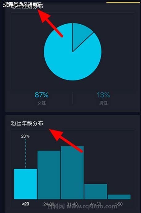 网络中的粉丝什么意思