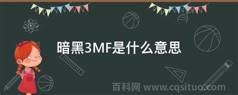 暗黑3MF是什么意思