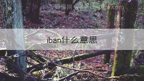 iban什么意思