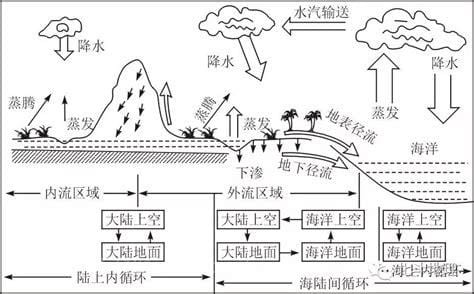 水循环的形式有几种