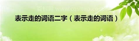 表示走的词语两个字的