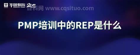 rep是什么