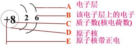 核外电子数和核电荷数的区别