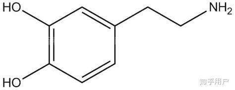 莱克多巴胺是什么东西