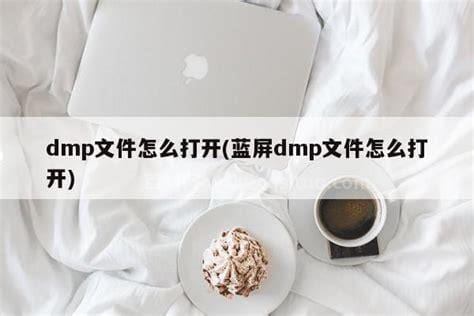 dmp文件怎么打开一键重装系统