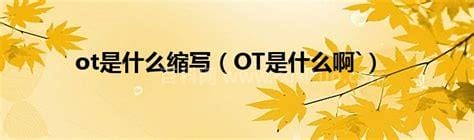 ot是什么意思