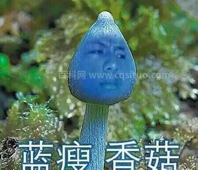 蓝瘦香菇是什么梗