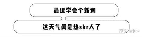 skr是什么意思