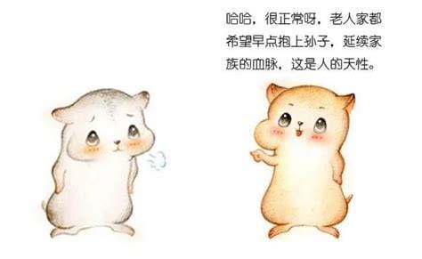 模因是什么意思