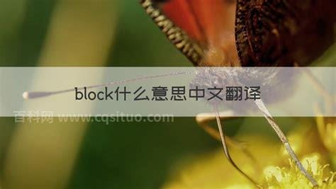 block什么意思中文翻译