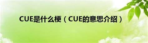 cue的意思是什么